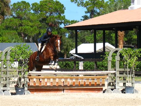Fox lea farm - Fox Lea Farm is a 50-acre horse show facility less than 5 miles from the beach. We are home of the Grassroots to Grand Prix Hunter Jumper shows and our $24,999 Grand …
